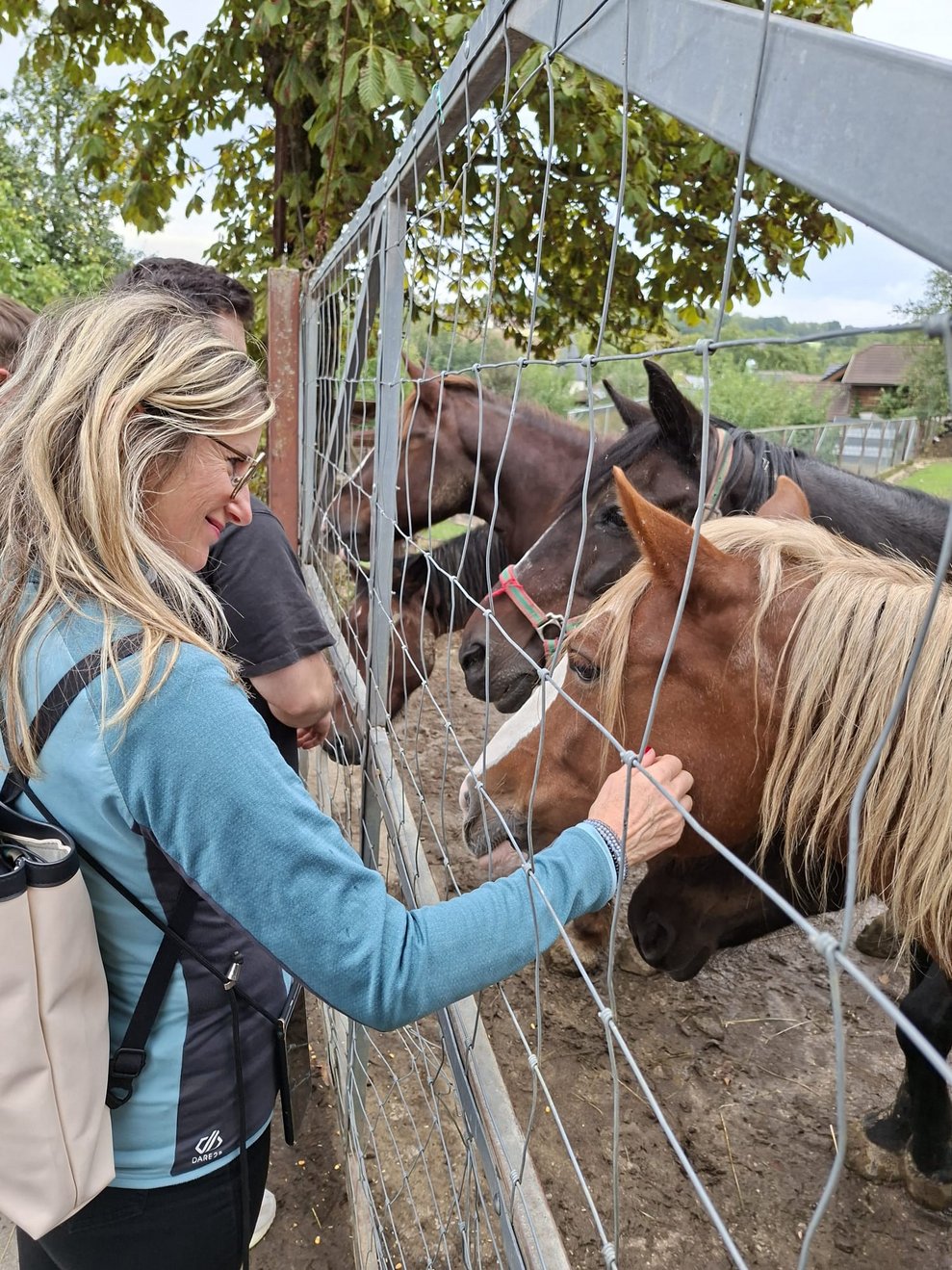 eine Frau streichelt Pferde