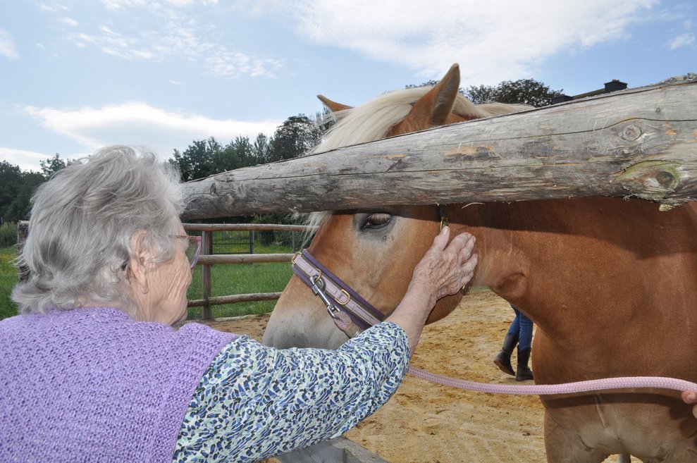 eine ältere Dame streichelt ein Pferd am Kopf