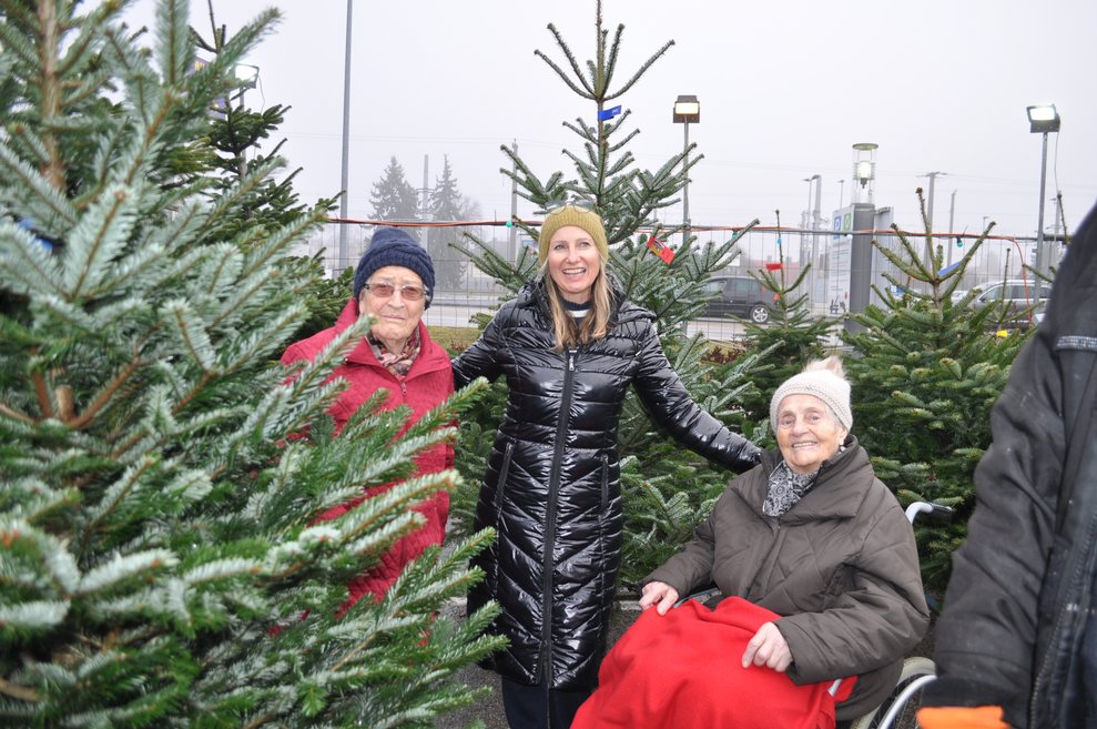 zwei ältere Damen beim Christbaumverkaufsstand mit einer jüngeren Dame