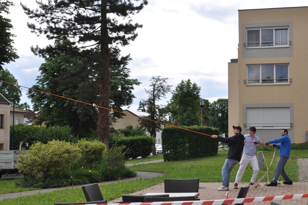 drei junge Männer ziehen an einem Seil, welches den Maibaum hält