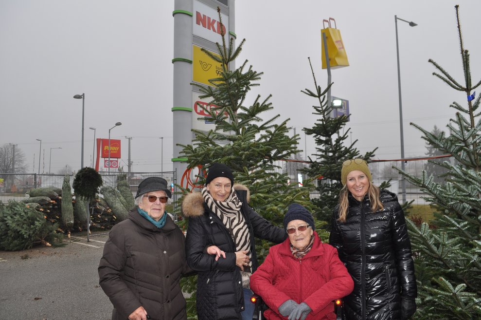 einige Personen mit Christbäumen beim Christbaumverkaufsstand