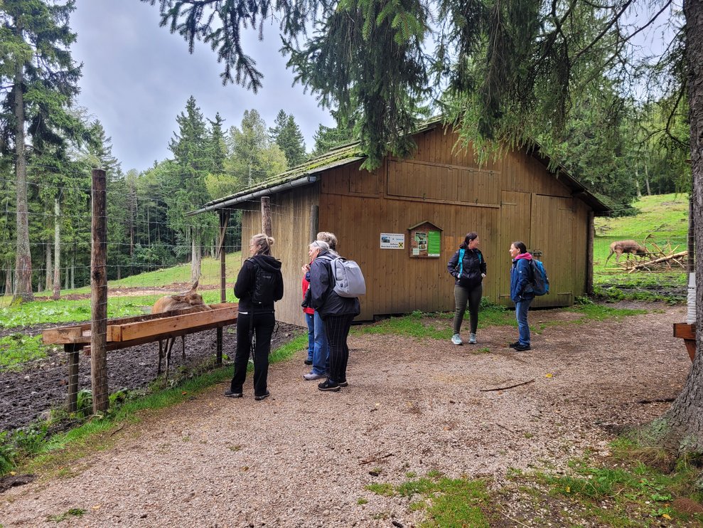 5 Personen stehen vor dem Hirschgehege.