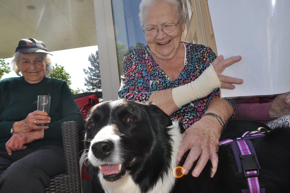 zwei ältere Damen mit einem schwarz weißen Hund