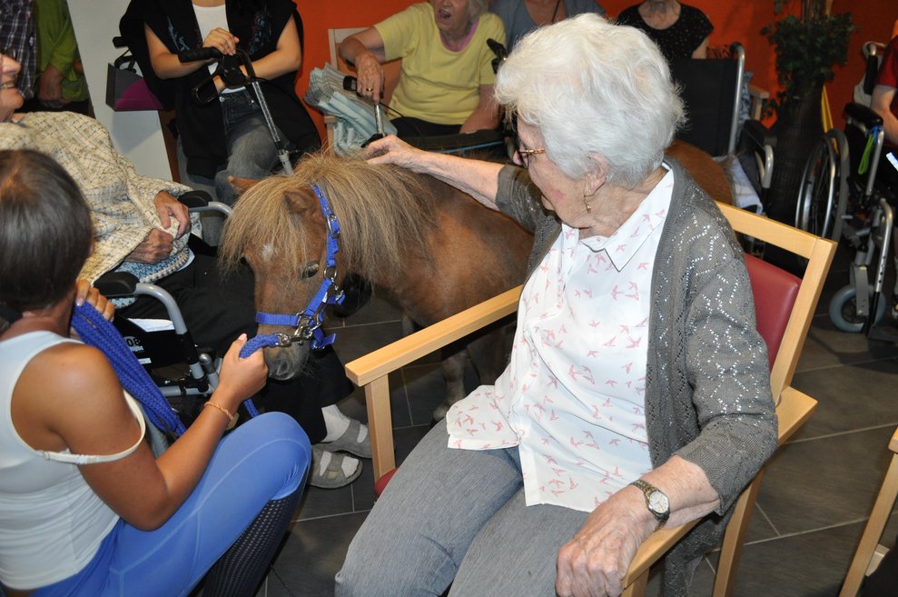 eine ältere Frau streichelt ein Pferd, das an der Leine mit einer Trainerin gehteine ältere Frau streichelt ein Pferd, das an der Leine mit einer Trainerin geht