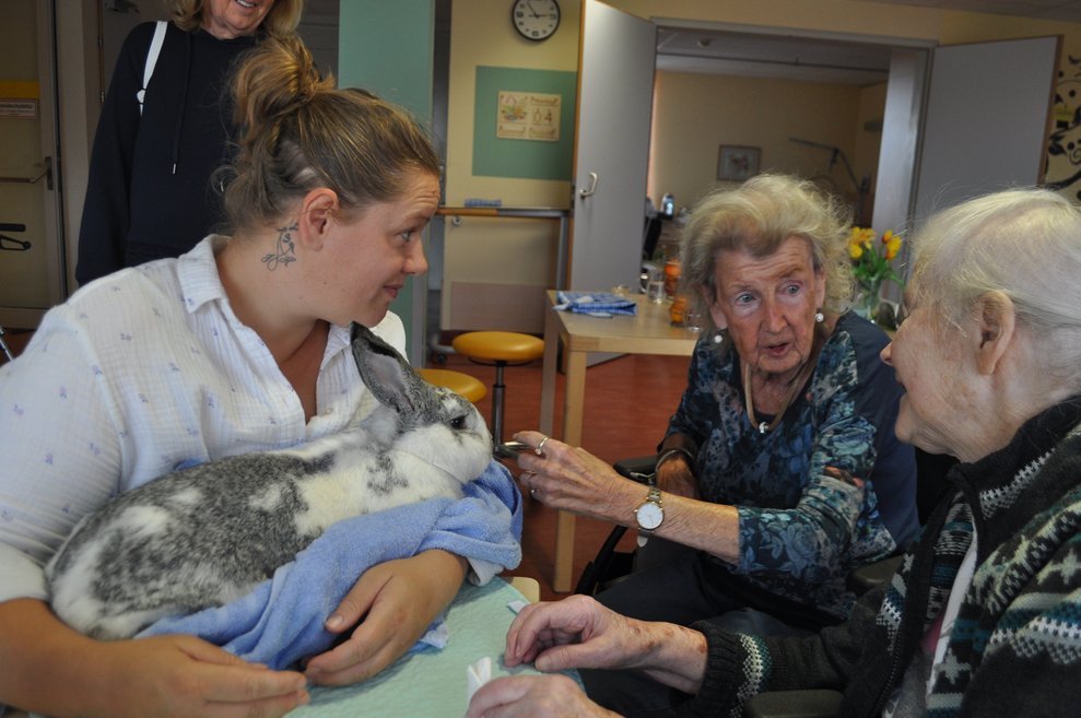 zwei ältere Damen, die einen Hasen ansehen und streicheln