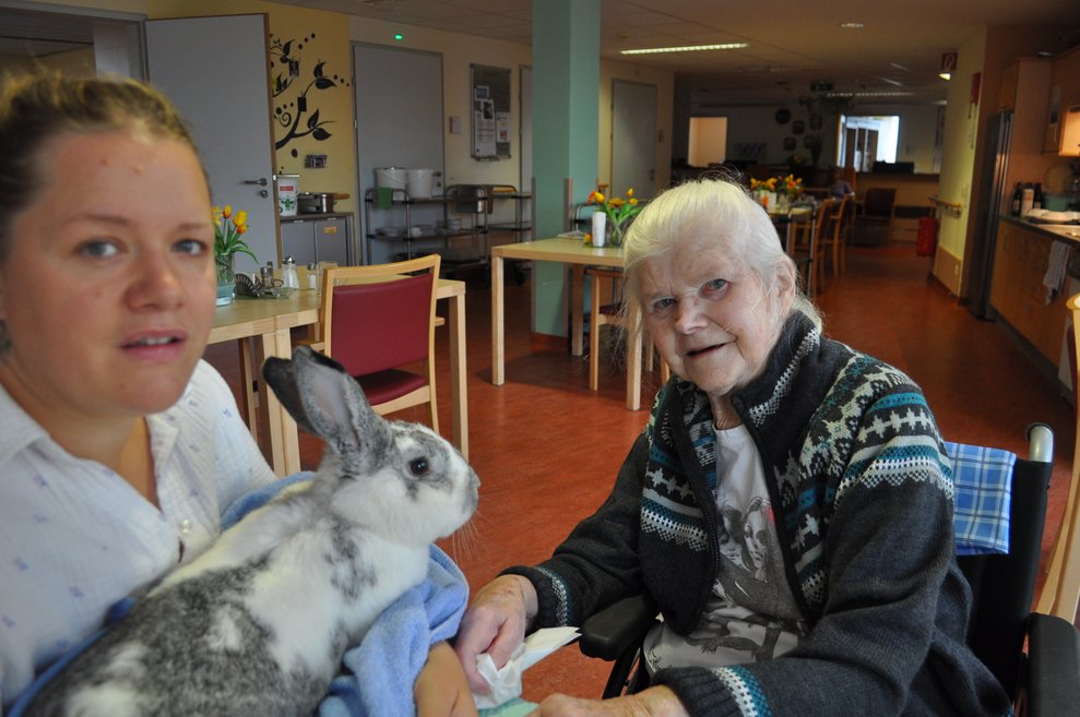 eine ältere Dame und ein Hase bei einer jüngeren Dame auf dem Schoß