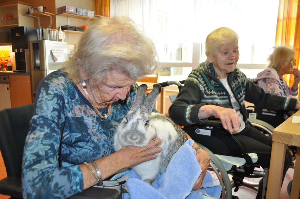 eine ältere Damit mit einem Hasen am Schoß