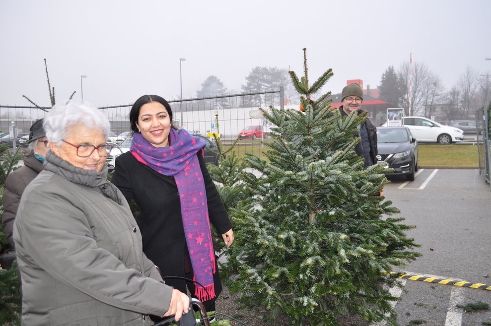 eine ältere Dame beim Christbaumverkaufsstand mit einer jüngeren Dame