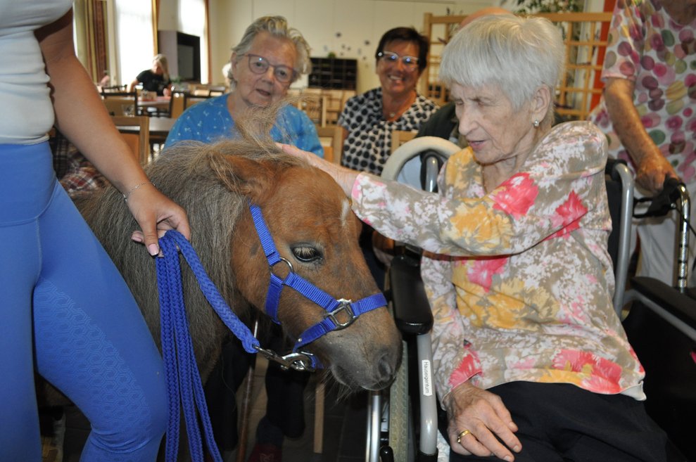 eine ältere Frau streichelt ein Pferd, das an der Leine mit einer Trainerin gehteine ältere Frau streichelt ein Pferd, das an der Leine mit einer Trainerin geht