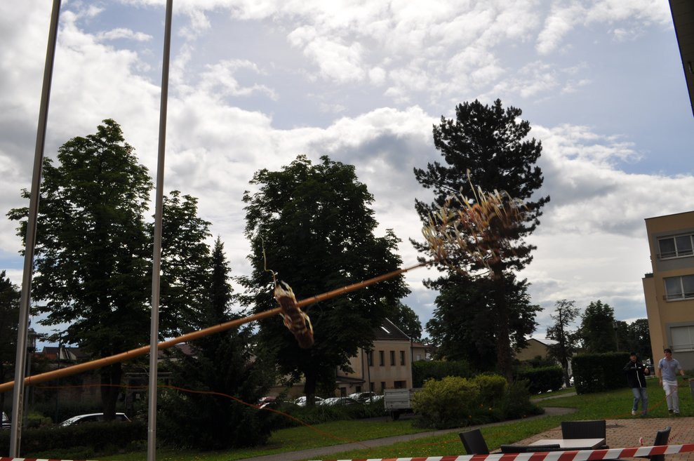 der Maibaum fällt um