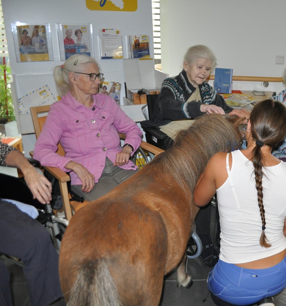 eine ältere Frau streichelt ein Pferd, das an der Leine mit einer Trainerin gehteine ältere Frau streichelt ein Pferd, das an der Leine mit einer Trainerin geht