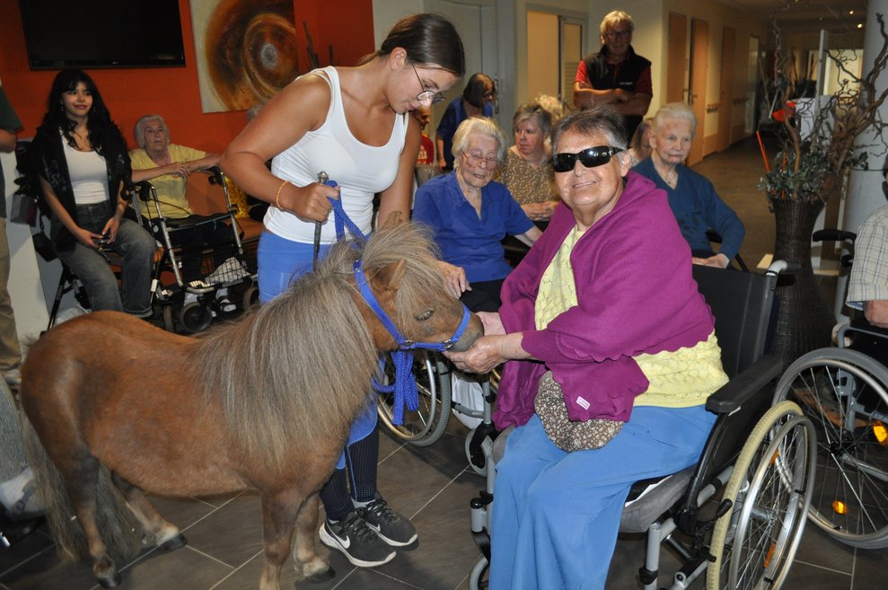eine ältere Frau streichelt ein Pferd, das an der Leine mit einer Trainerin geht