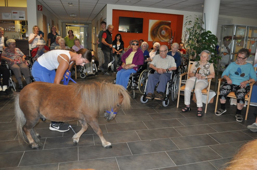 Ein Pony im Kreis von mehreren alten Personen