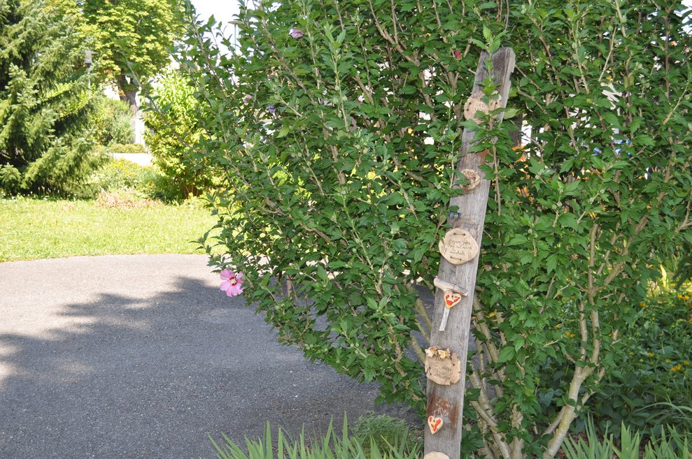 Weg im Garten, alles schön grün