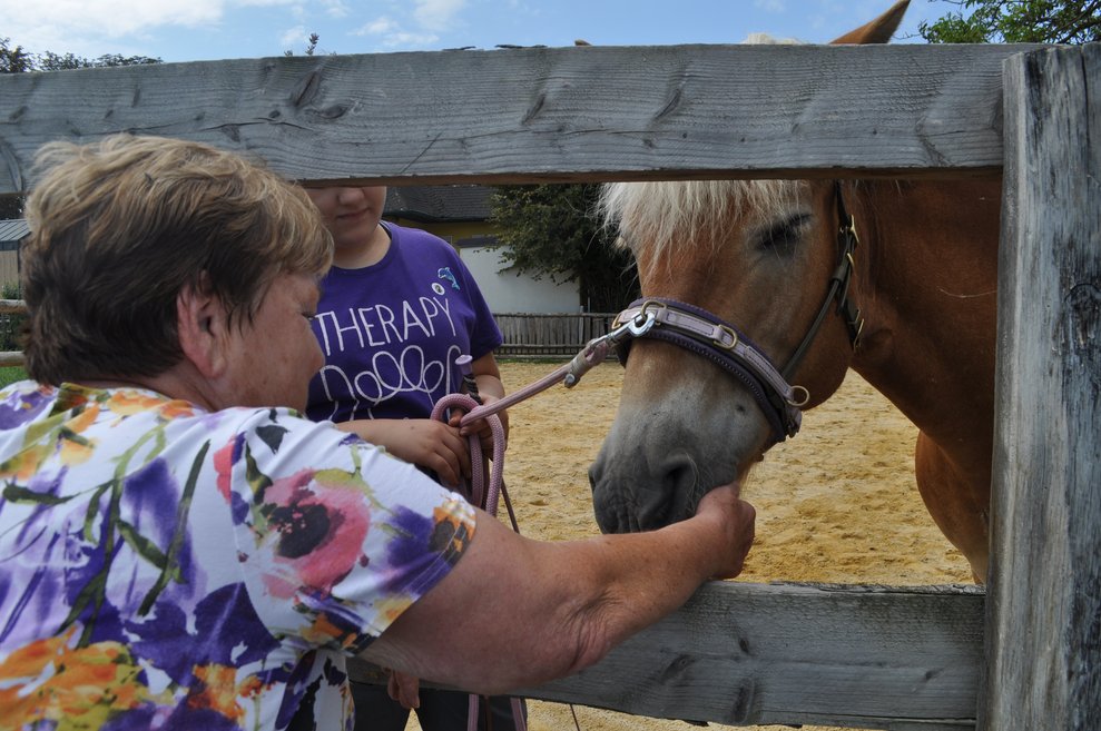 eine Dame streichelt ein Pferd