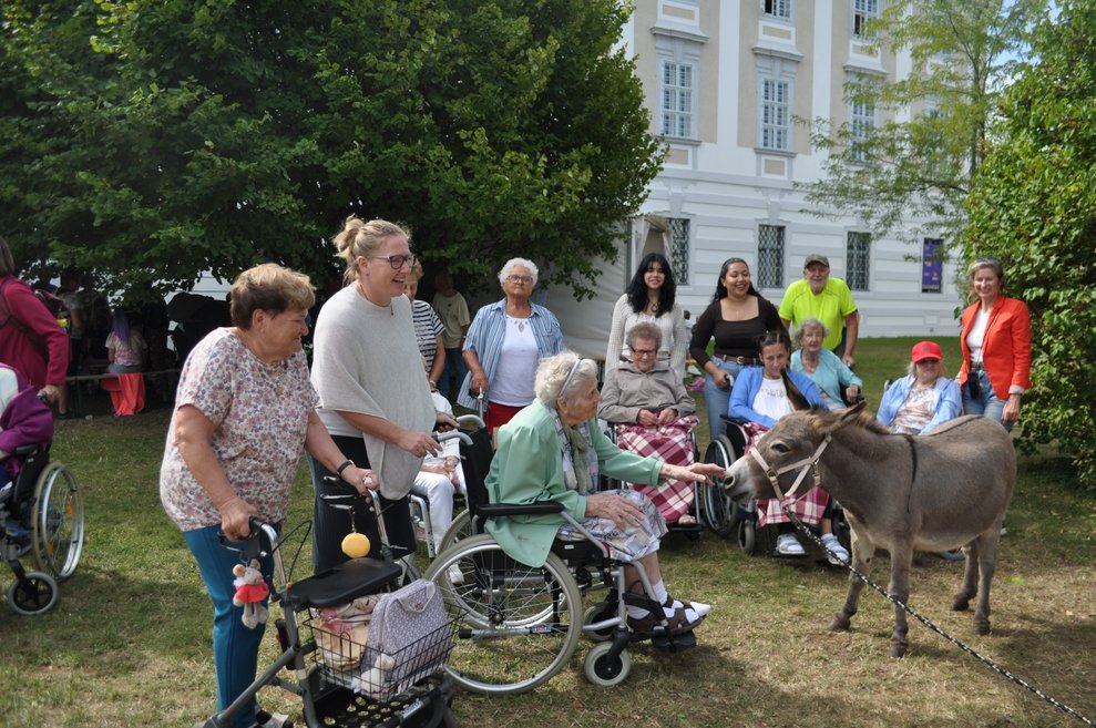 mehrere Personen mit Rollstühlen oder Rollatoren im Garten beim Streicheln eines Esels