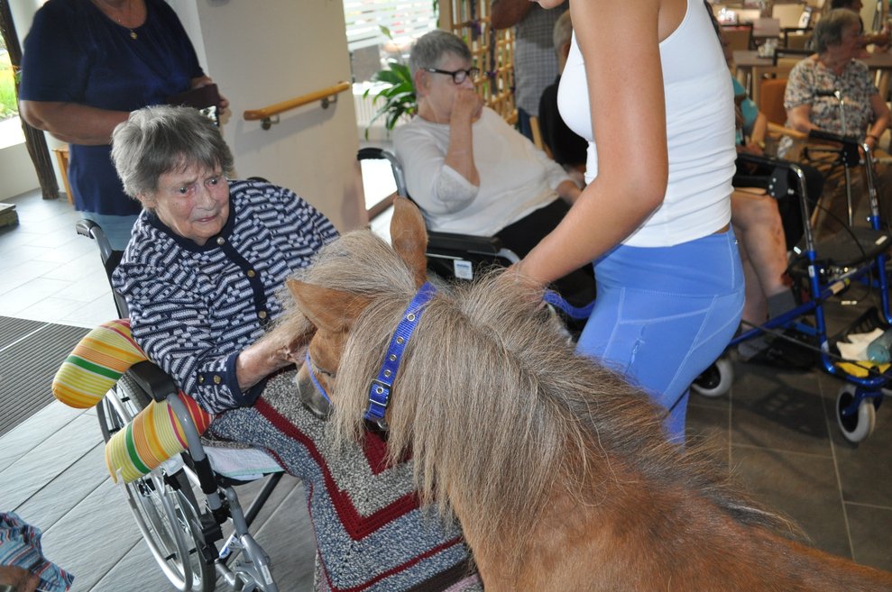 eine ältere Frau streichelt ein Pferd, das an der Leine mit einer Trainerin gehteine ältere Frau streichelt ein Pferd, das an der Leine mit einer Trainerin geht