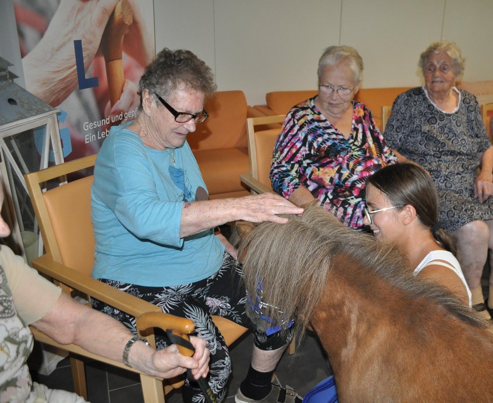 eine ältere Frau streichelt ein Pferd, das an der Leine mit einer Trainerin gehteine ältere Frau streichelt ein Pferd, das an der Leine mit einer Trainerin geht
