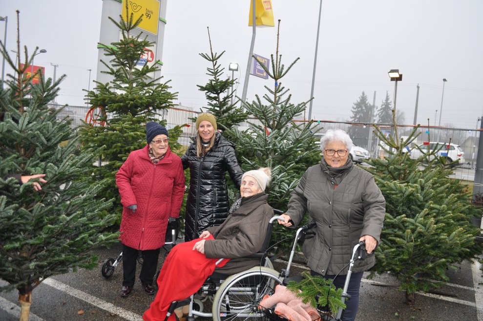 drei ältere Damen mit Rollstuhl und Rollator beim Christbaumverkaufsstand mit einer jüngeren Dame