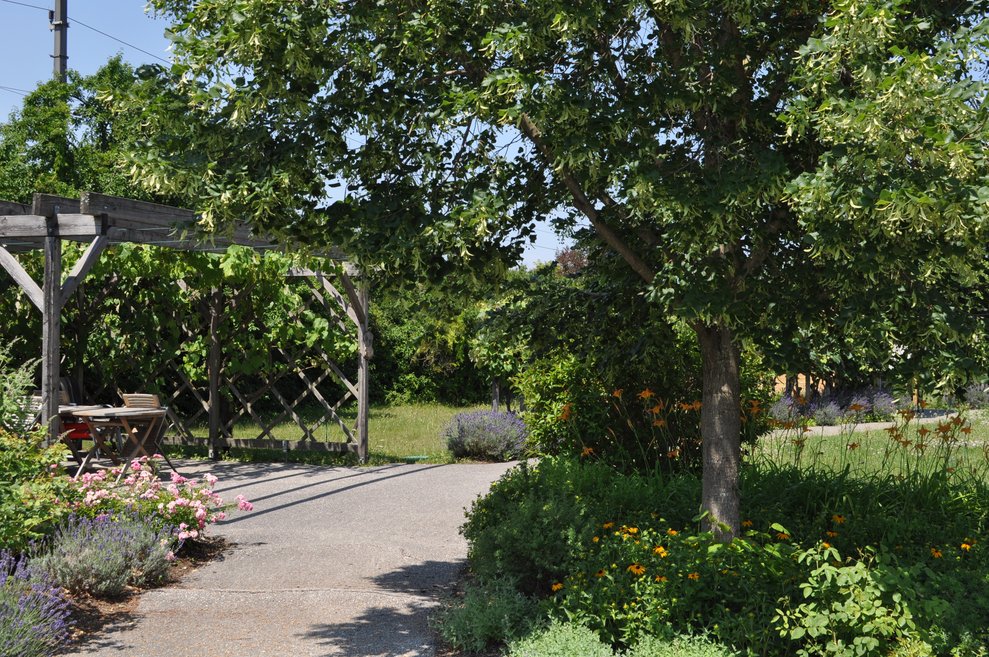 Weg im Garten mit Bäumen